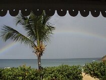 Rainbow After 3 days of rain you'd expect a rainbow!