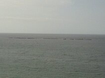 cliffmulberry2 the Mulberry Harbour from the Cliff top