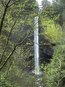 latourellswaterfall2 There are plenty of waterfalls in the Columbian Gorge area, this is the La Tourells fall which I managed to get a picture of.