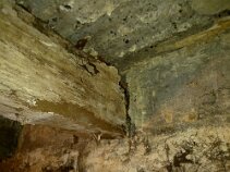 Rotten joist