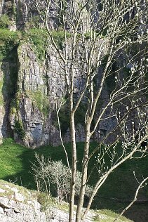 19.04 Cheddar Gorge4