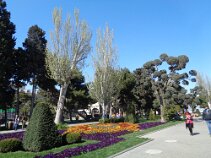 DSC00275 Flower beds in Milli park