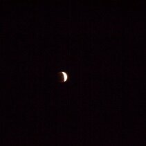 DSC00330