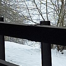 IMG-20240507-WA0003