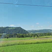 IMG-20240827-WA0004