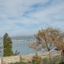 IMG-20241105-WA0005
