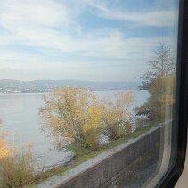 IMG-20241105-WA0008