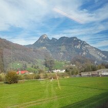 IMG-20241105-WA0012