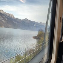 IMG-20241105-WA0014