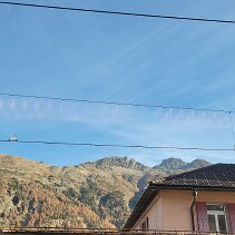 IMG-20241106-WA0013